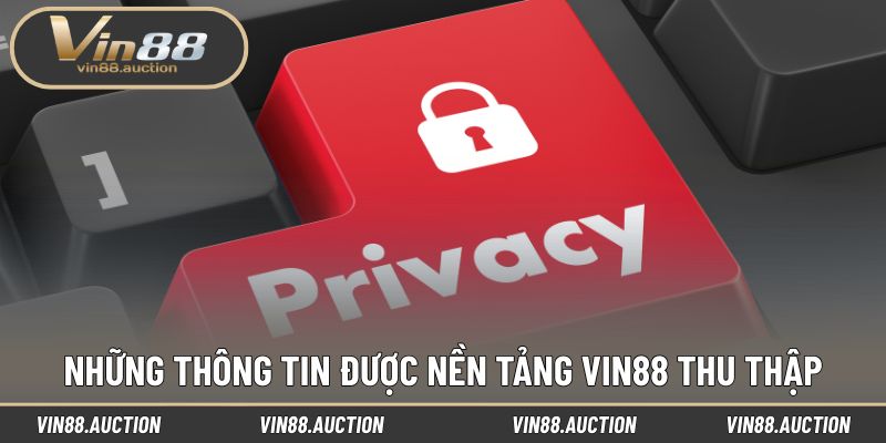Những thông tin được nền tảng VIN88 thu thập
